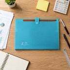 Expandable file organizer office school