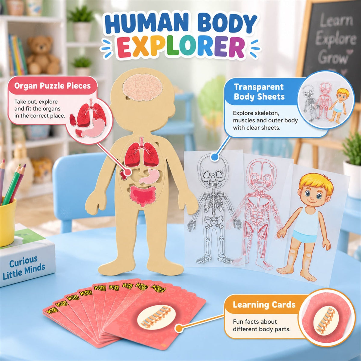 Anatomy puzzle cards view