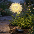 A white chrysanthemum flower solar stake light glowing brightly in a garden bed next to a stone pathway at dusk.