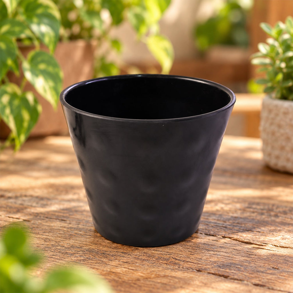 Flower pot white bg