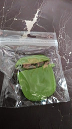 A green silicone earbud case is sealed inside a clear plastic bag on a dark brown textured surface.